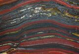 Polished Tiger Iron Stromatolite - ( Billion Years) #62779-1
